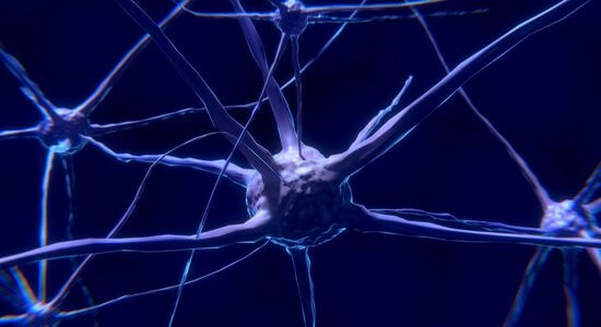 Réseau de neurone, intelligence artificielle