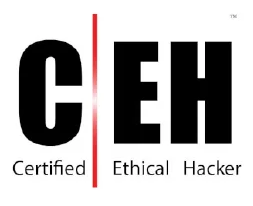 Certified Ethical Hacker Connect 3S